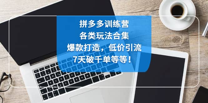 拼多多训练营：各玩法合集，爆款打造，低价引流，7天破千单等等