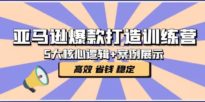 亚马逊爆款打造训练营：5大核心逻辑+案例展示 打造爆款链接 高效 省钱 稳定