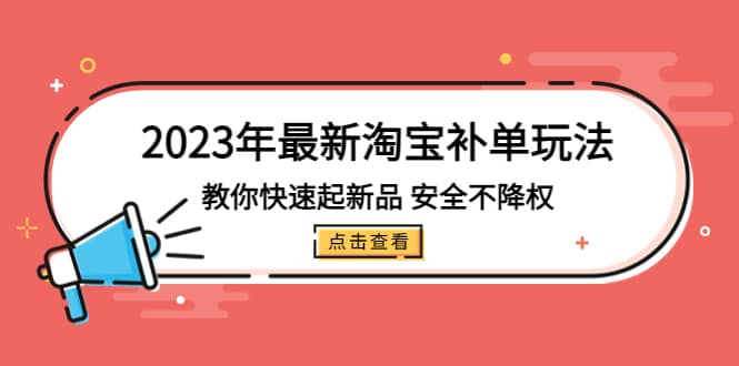 2023年最新淘宝补单玩法，教你快速起·新品，安全·不降权（18课时）