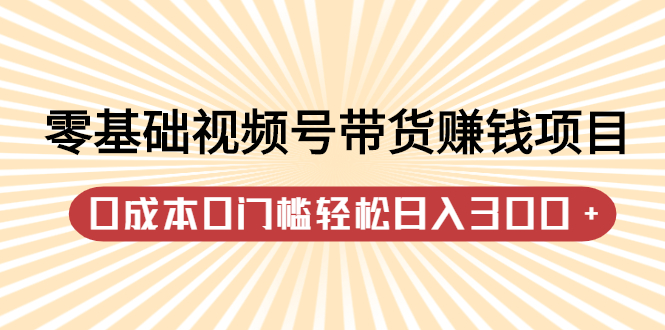 零基础视频号带货赚钱项目，0成本0门槛轻松日入300+【视频教程】