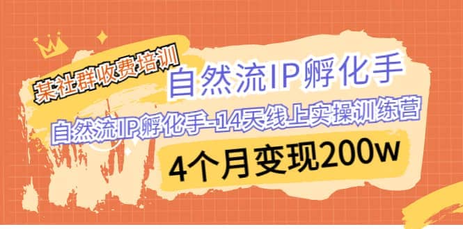 某社群收费培训：自然流IP 孵化手-14天线上实操训练营 4个月变现200w