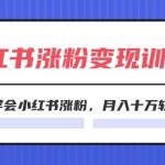 2024小红书涨粉变现训练营，快速学会小红书涨粉，月入十万轻松变现(40节)