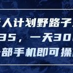 发行人计划野路子玩法，一单35，一天3000+，一部手机即可操作