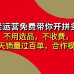 拼多多 最新合作开店日收4000+两天销量过百单，无学费、老运营代操作、…