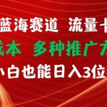 蓝海赛道 流量卡 0成本 小白也能日入三位数