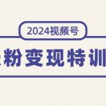 2024视频号-涨粉变现特训营：一站式打造稳定视频号涨粉变现模式（10节）