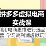 拼多多虚拟电商实战课：虚拟资源选品+运营，高利润虚拟玩法（更新14节）