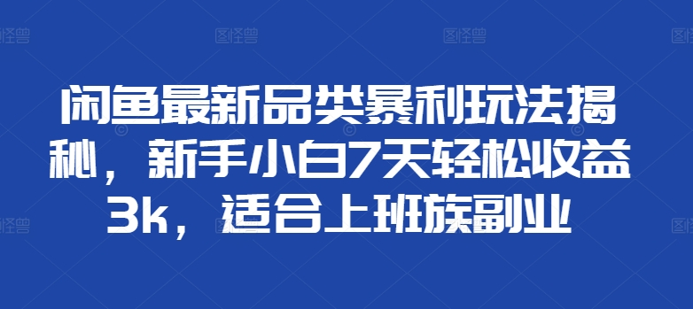 闲鱼最新品类暴利玩法揭秘，新手小白7天轻松赚3000+，适合上班族副业